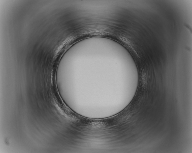 X0000101660686200807101025
