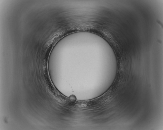 X0000101660687200807101025