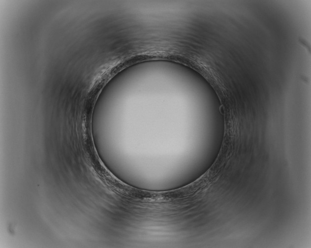 X0000101660688200807101025