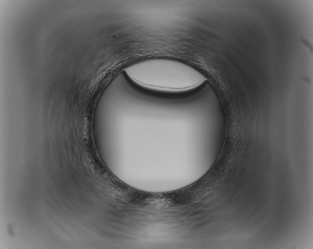X0000101660689200807101025