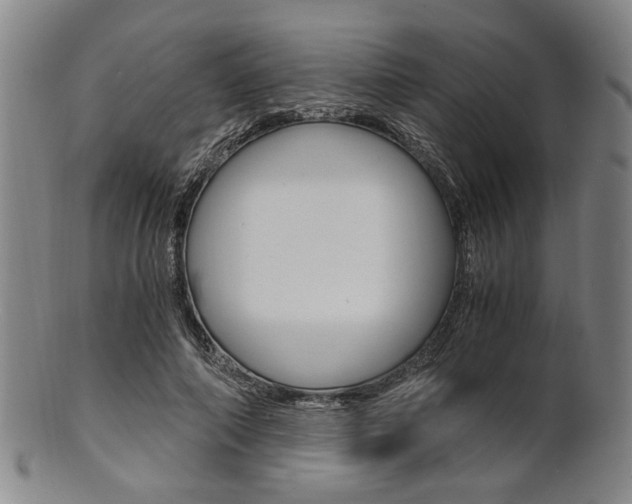 X0000101660690200807101025