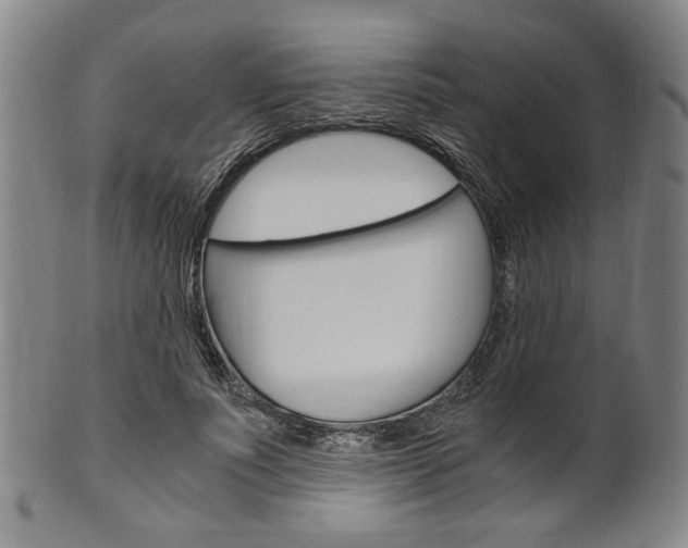 X0000101660691200807101025