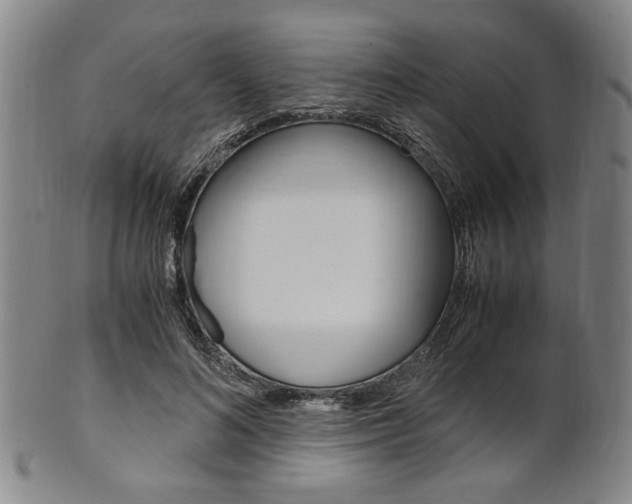 X0000101660692200807101025