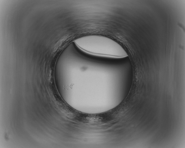 X0000101660693200807101025