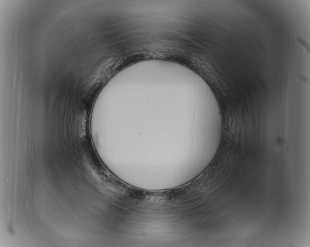 X0000101660694200807101025