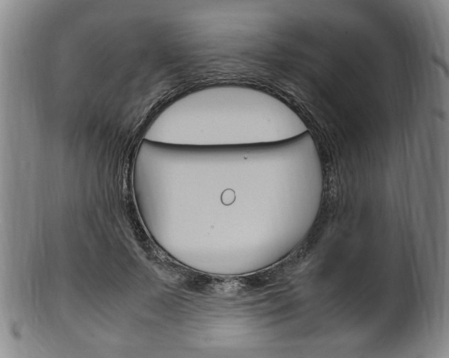 X0000101660695200807101025