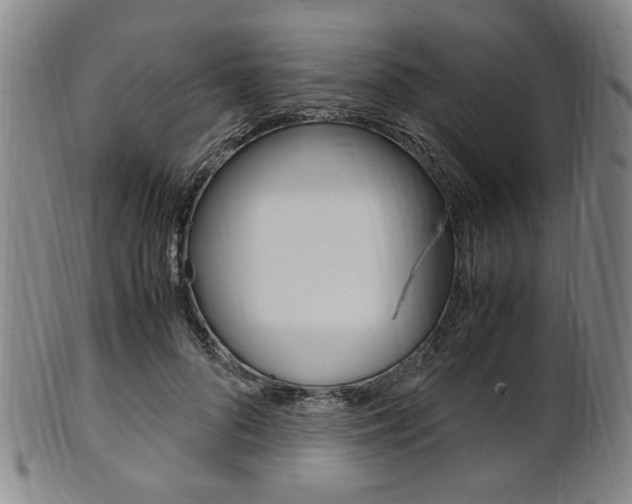 X0000101660696200807101025