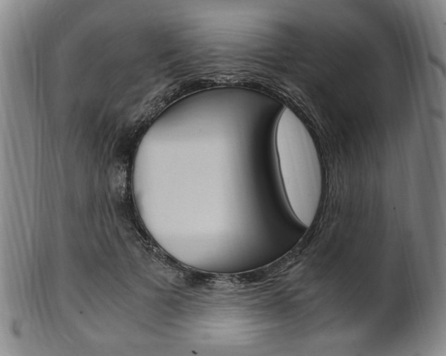 X0000101660697200807101025