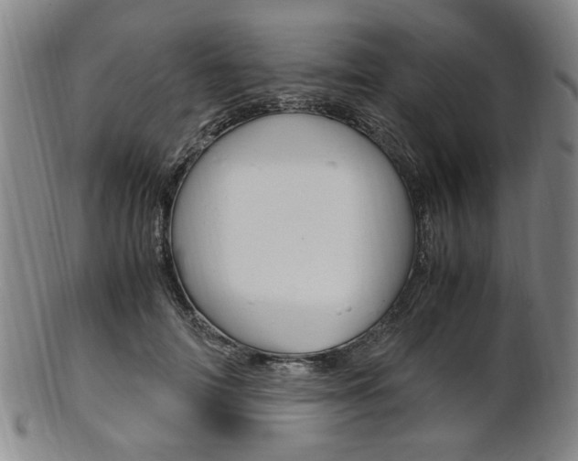 X0000101660698200807101025