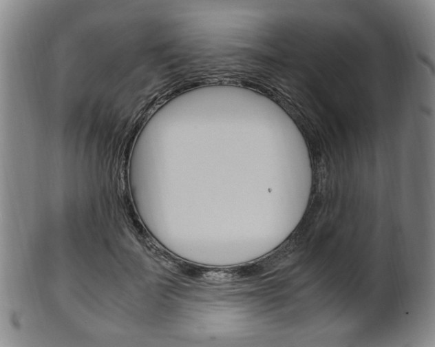 X0000101660699200807101025