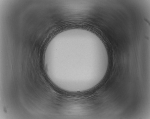 X0000101660701200807101025