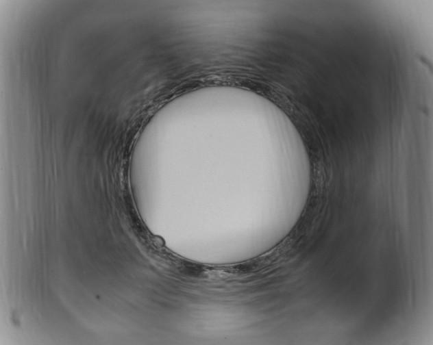 X0000101660703200807101025
