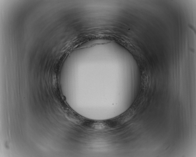 X0000101660704200807101025