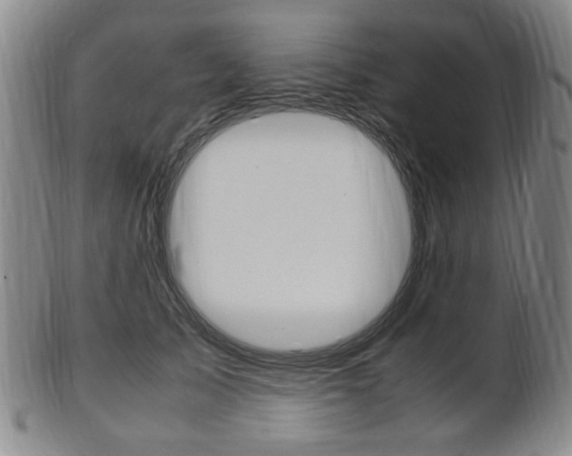 X0000101660705200807101025