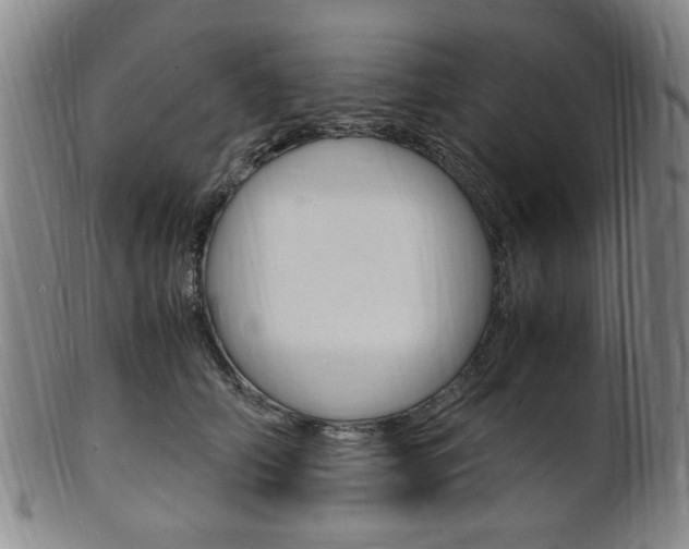 X0000101660706200807101025