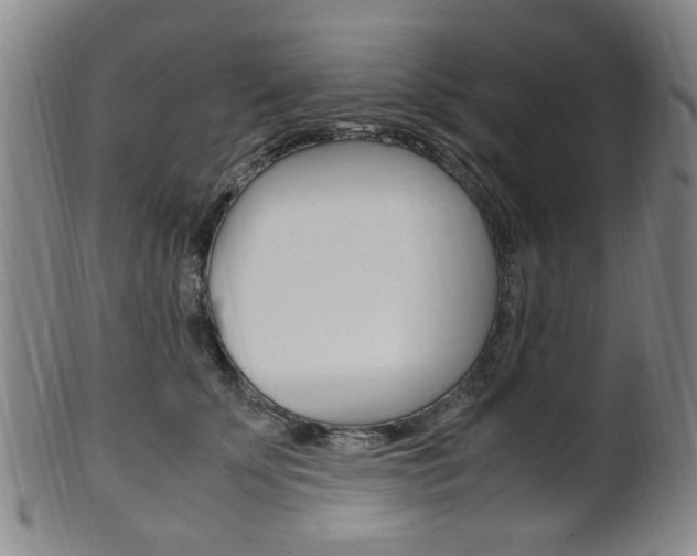X0000101660707200807101025