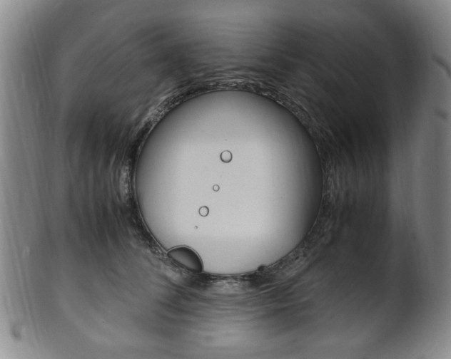 X0000101660708200807101025