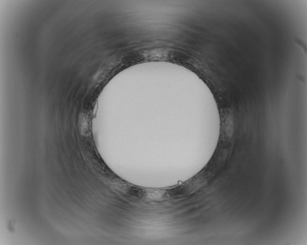 X0000101660709200807101025