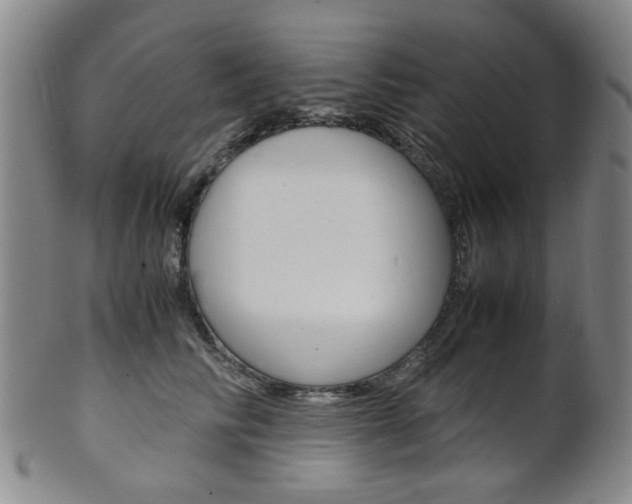 X0000101660710200807101025