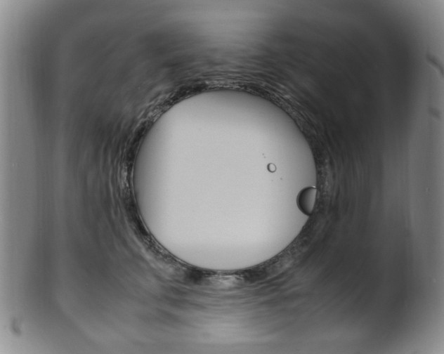 X0000101660711200807101025