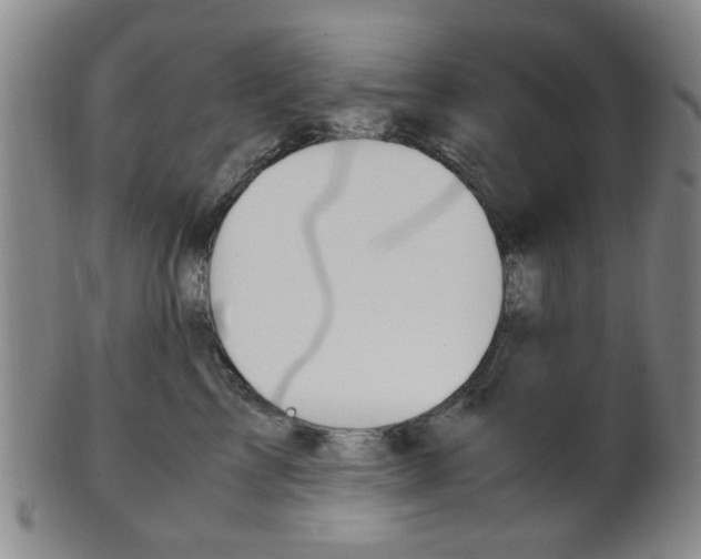 X0000101660713200807101025