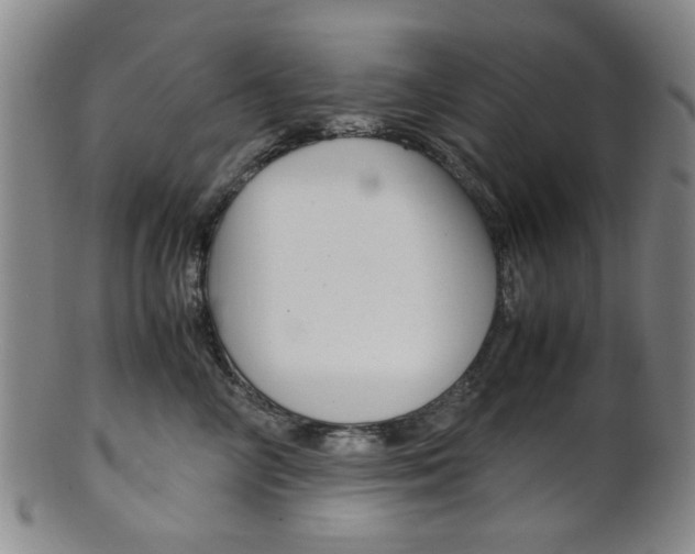 X0000101660714200807101025