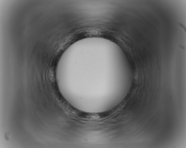 X0000101660715200807101025