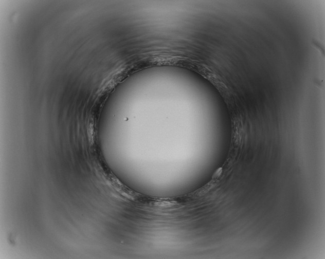 X0000101660716200807101025