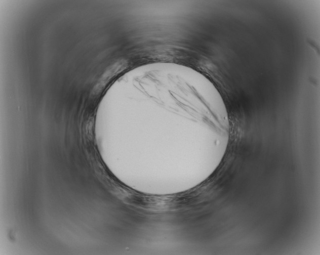 X0000101660717200807101025