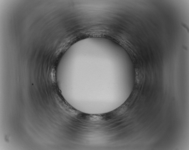 X0000101660718200807101025