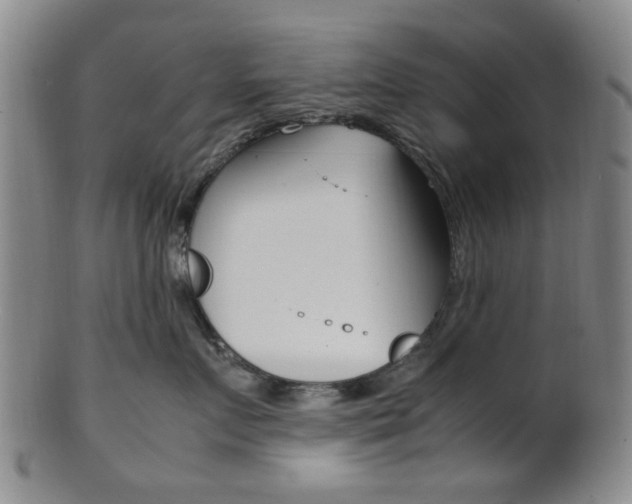 X0000101660719200807101025