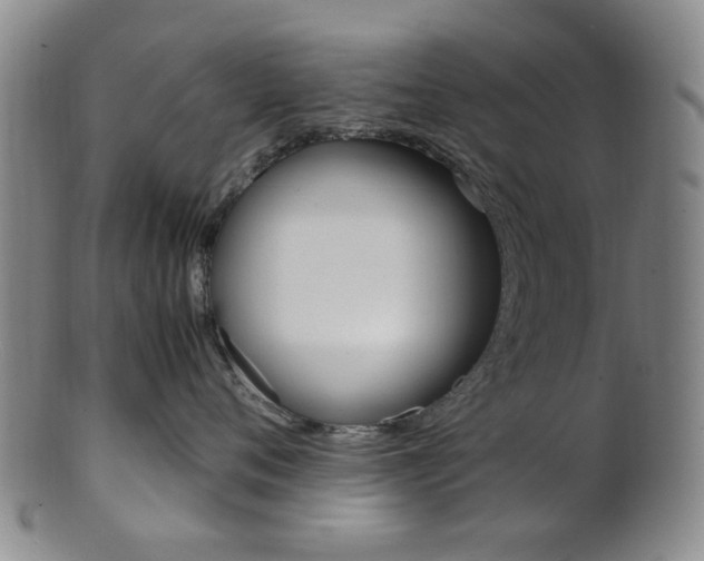 X0000101660720200807101025
