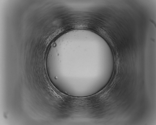 X0000101660721200807101024