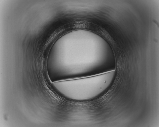X0000101660722200807101024