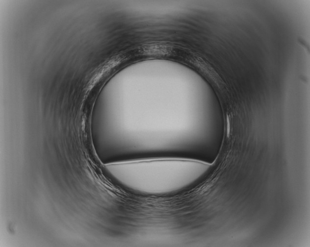 X0000101660723200807101024