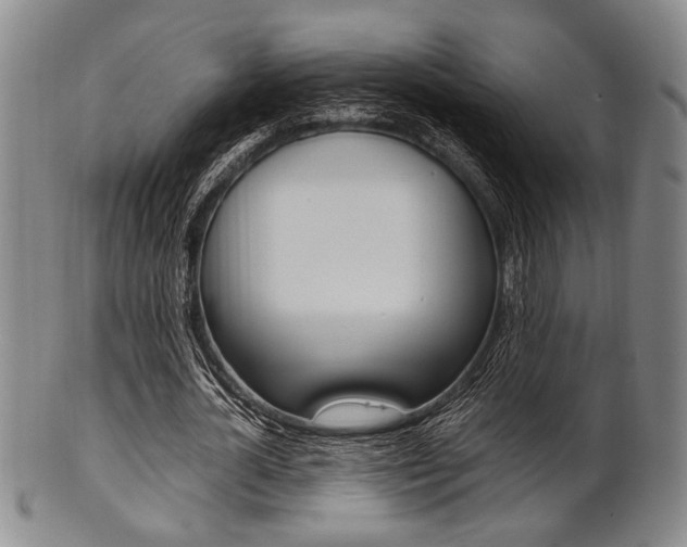X0000101660724200807101024