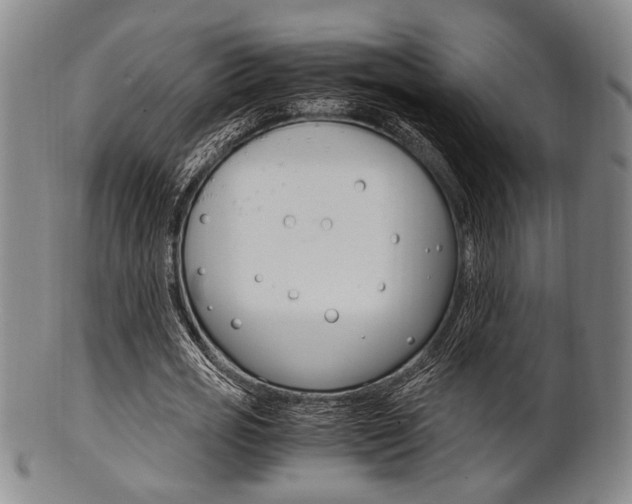 X0000101660725200807101024