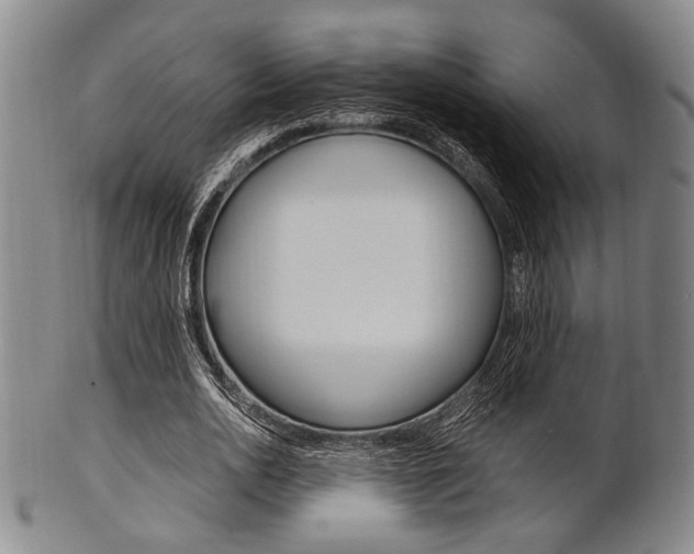 X0000101660726200807101024