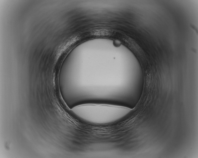 X0000101660727200807101024