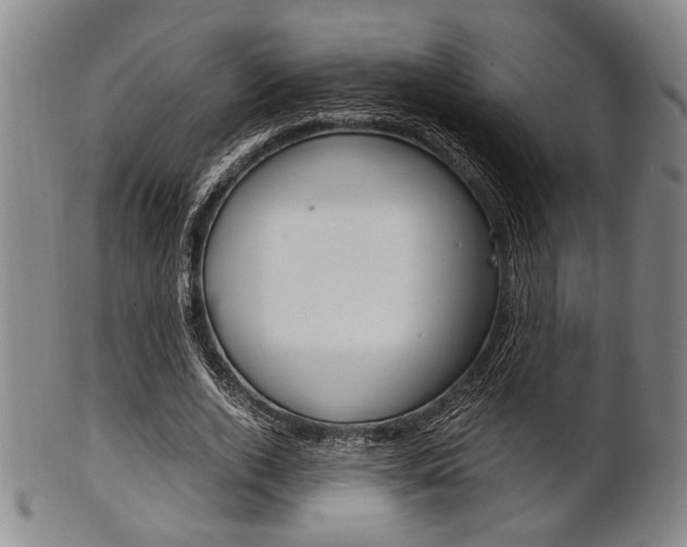 X0000101660728200807101024