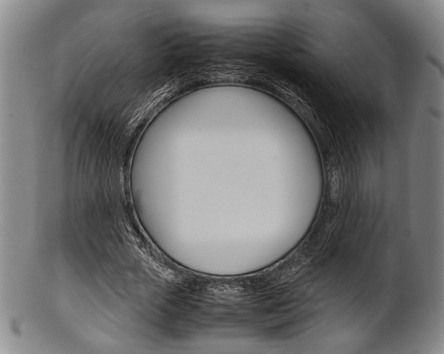 X0000101660729200807101024