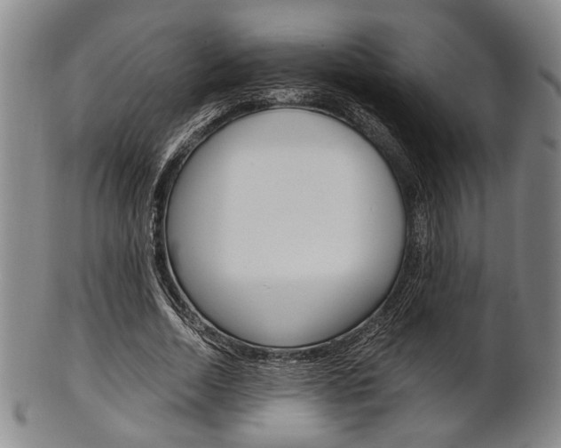 X0000101660730200807101024