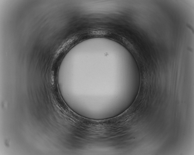 X0000101660731200807101024