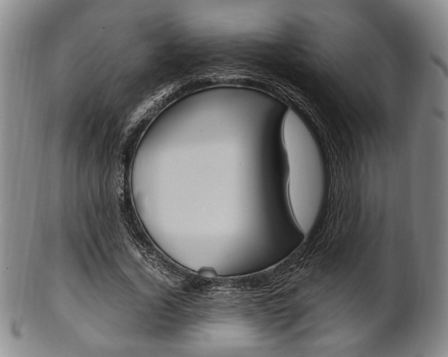 X0000101660732200807101024