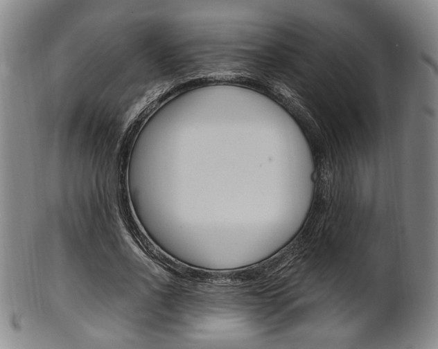 X0000101660734200807101024