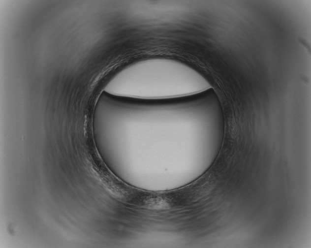 X0000101660735200807101024