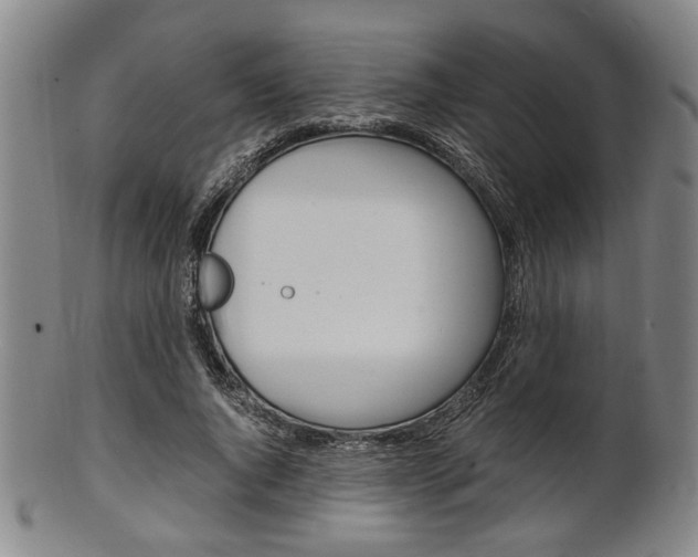 X0000101660736200807101024