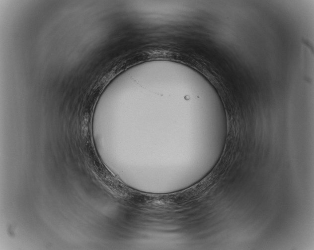 X0000101660737200807101024