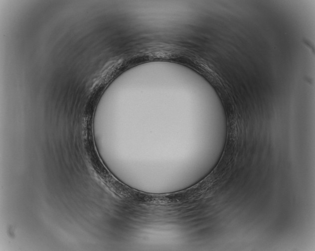 X0000101660738200807101024