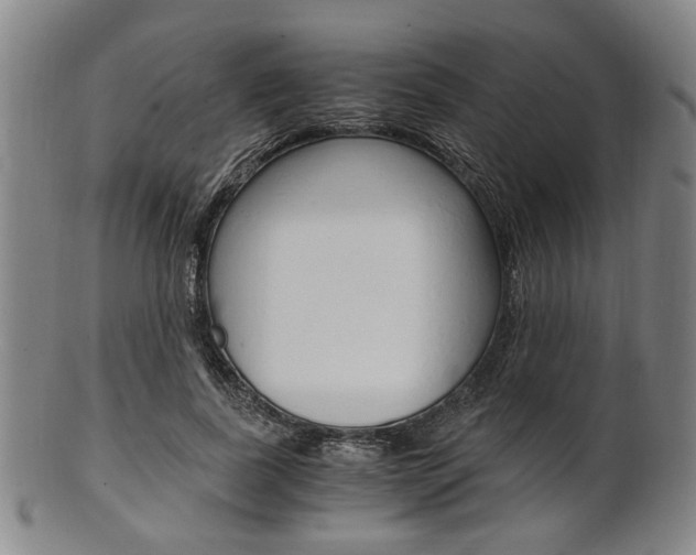 X0000101660739200807101024